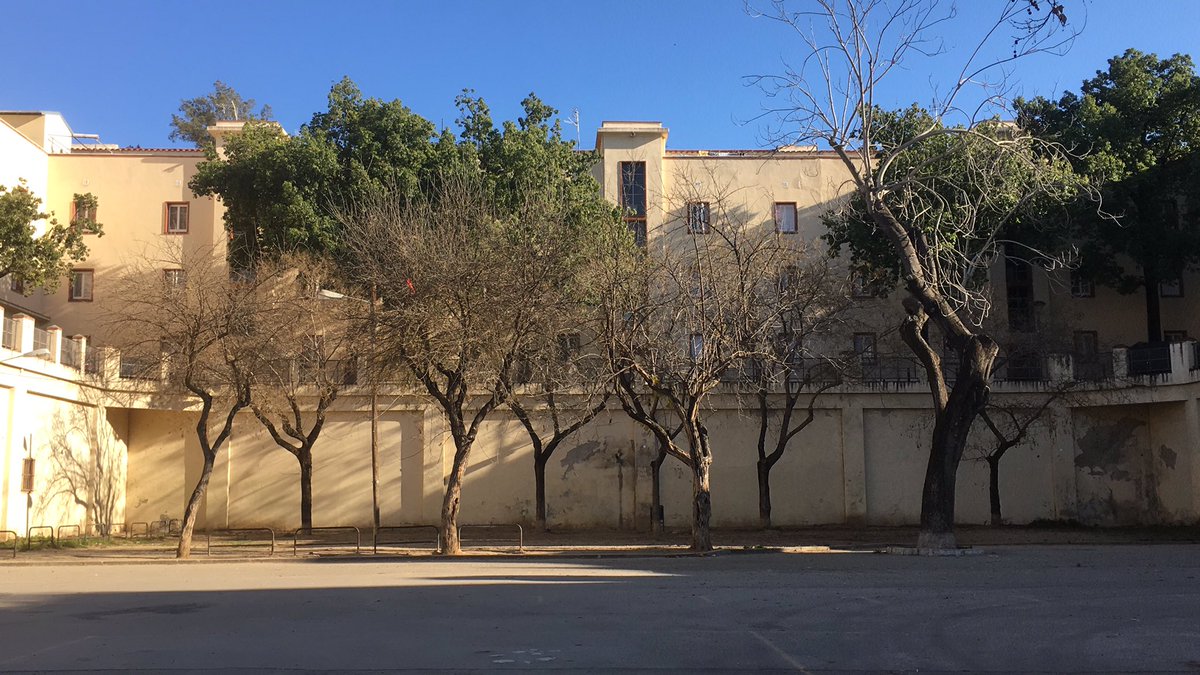 Repenseu aquesta plaça que podria oferir més verd i més gaudi!! #Mercatdelesflors #PobleSec