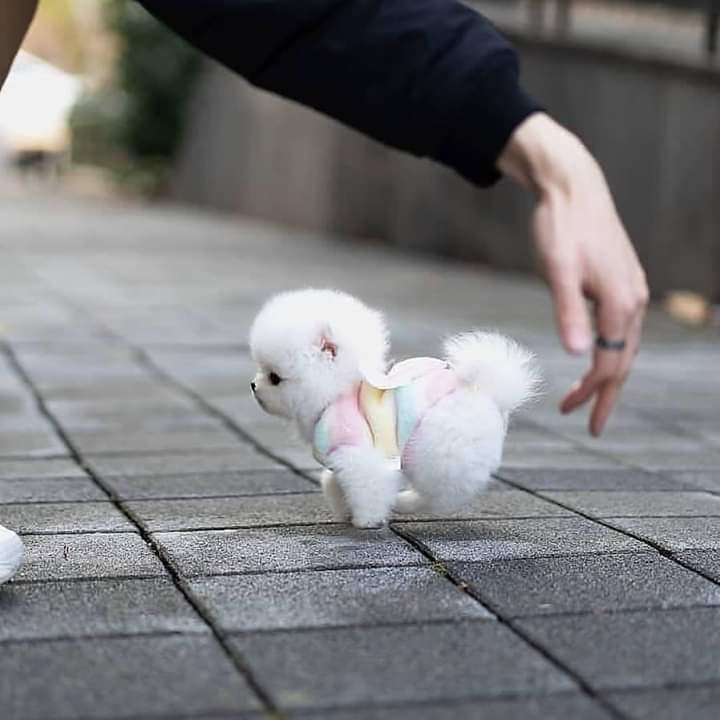 dinogodwhale's tweet image. 