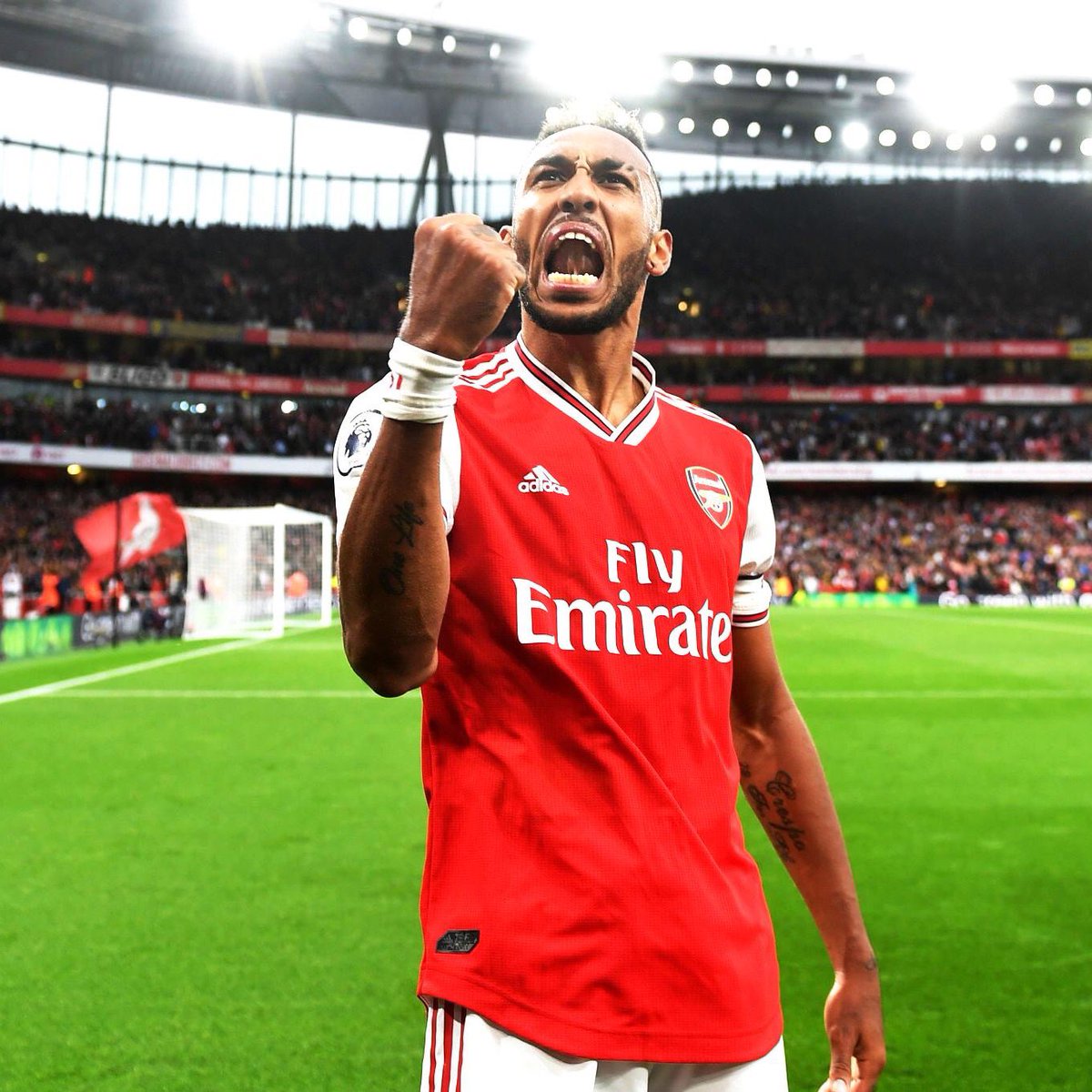 Patrick Timmons tweet media