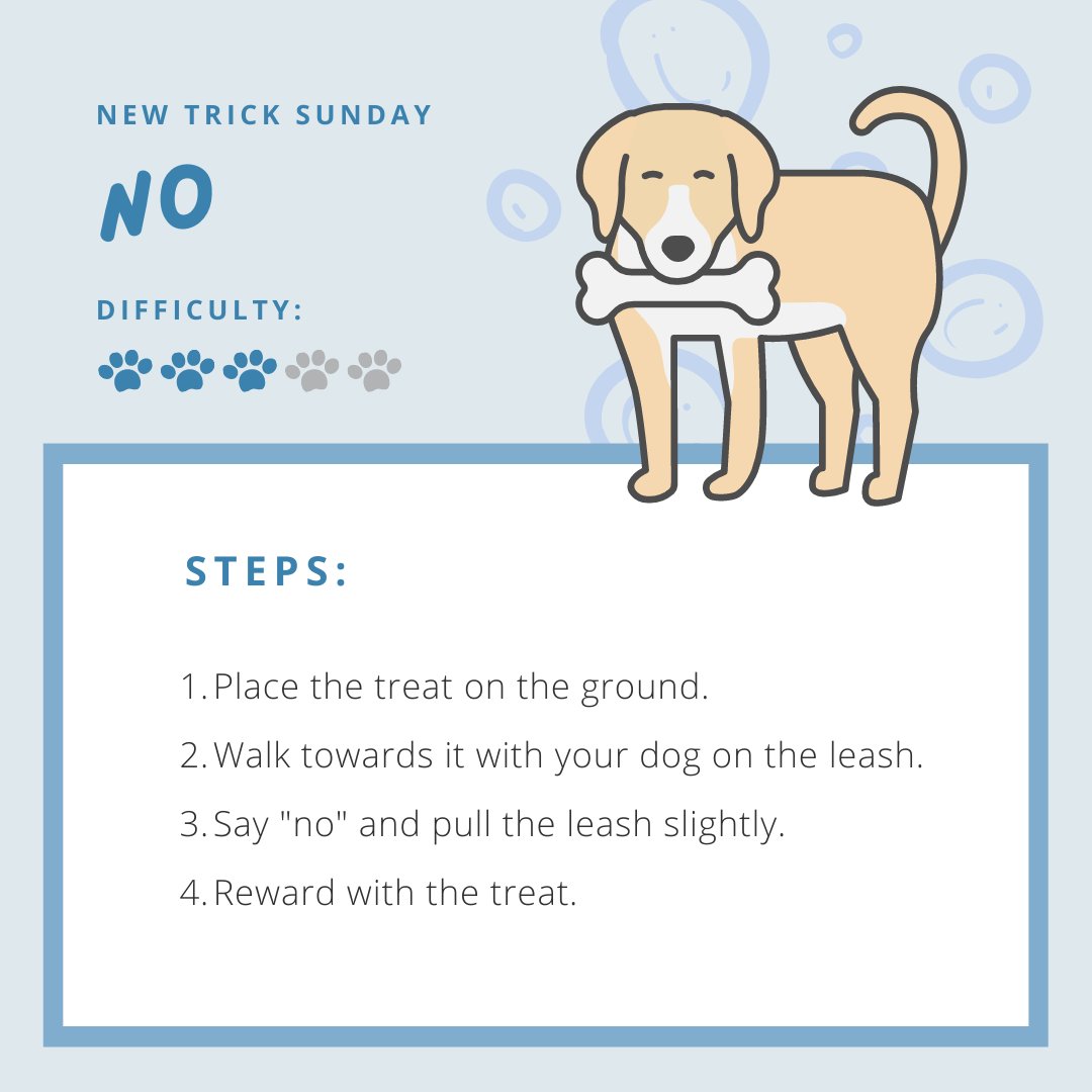 ThePetsPeople_'s tweet image. Such a simple yet crucial command to teach your dog, appropriate for so many circumstances and essential to keep your dog out of trouble. 🚫

#DogTricks #DogCommands #ThePetsPeople