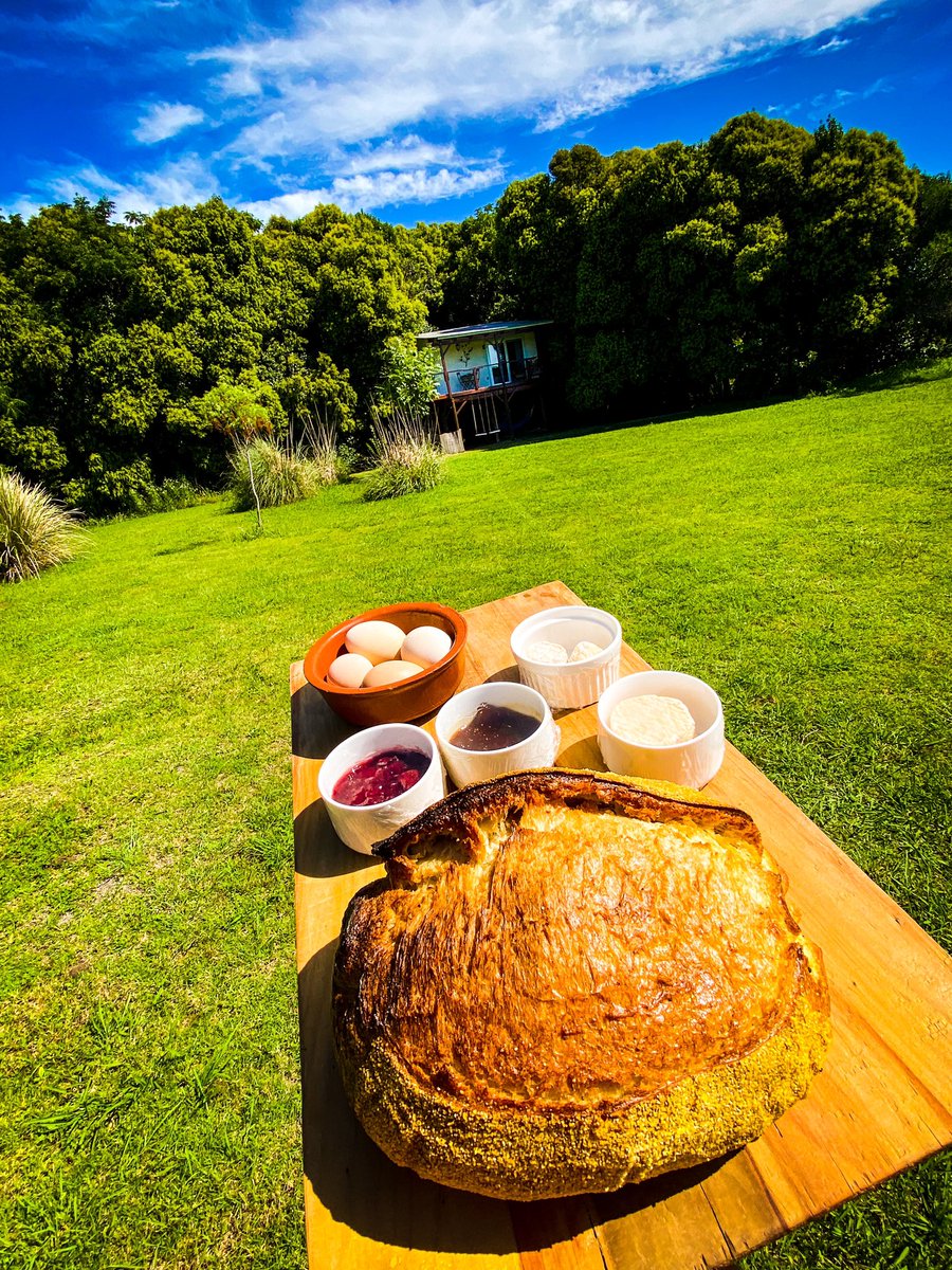 Regalo de bienvenida para los huéspedes de @airbnb que llegan hoy a <a href="/ElNidoTreehouse/">El Nido Treehouses</a>