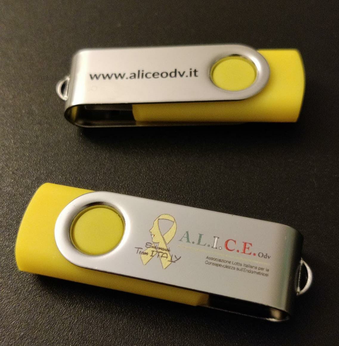 A.L.I.C.E. ODV - Endomarch Team Italy tweet media