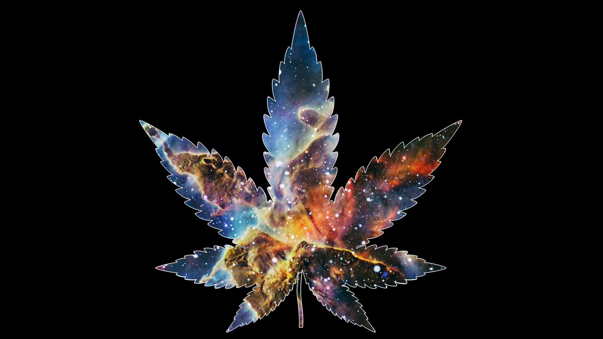 Galactic Budz tweet media