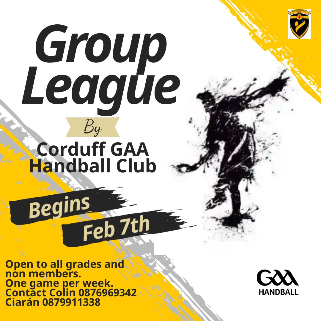 Corduff GAA Handball Club tweet media