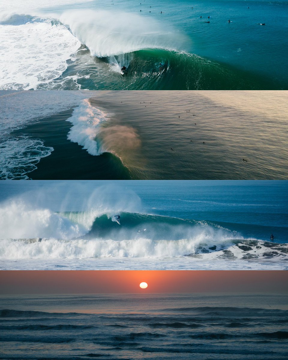 daniel gorostieta tweet media