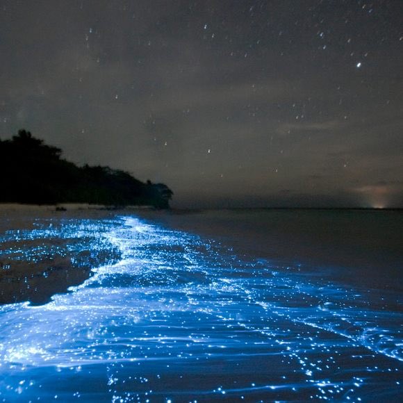 luvmiu13's tweet image. who is coming with me to the maldives so we can visit the sea of stars?