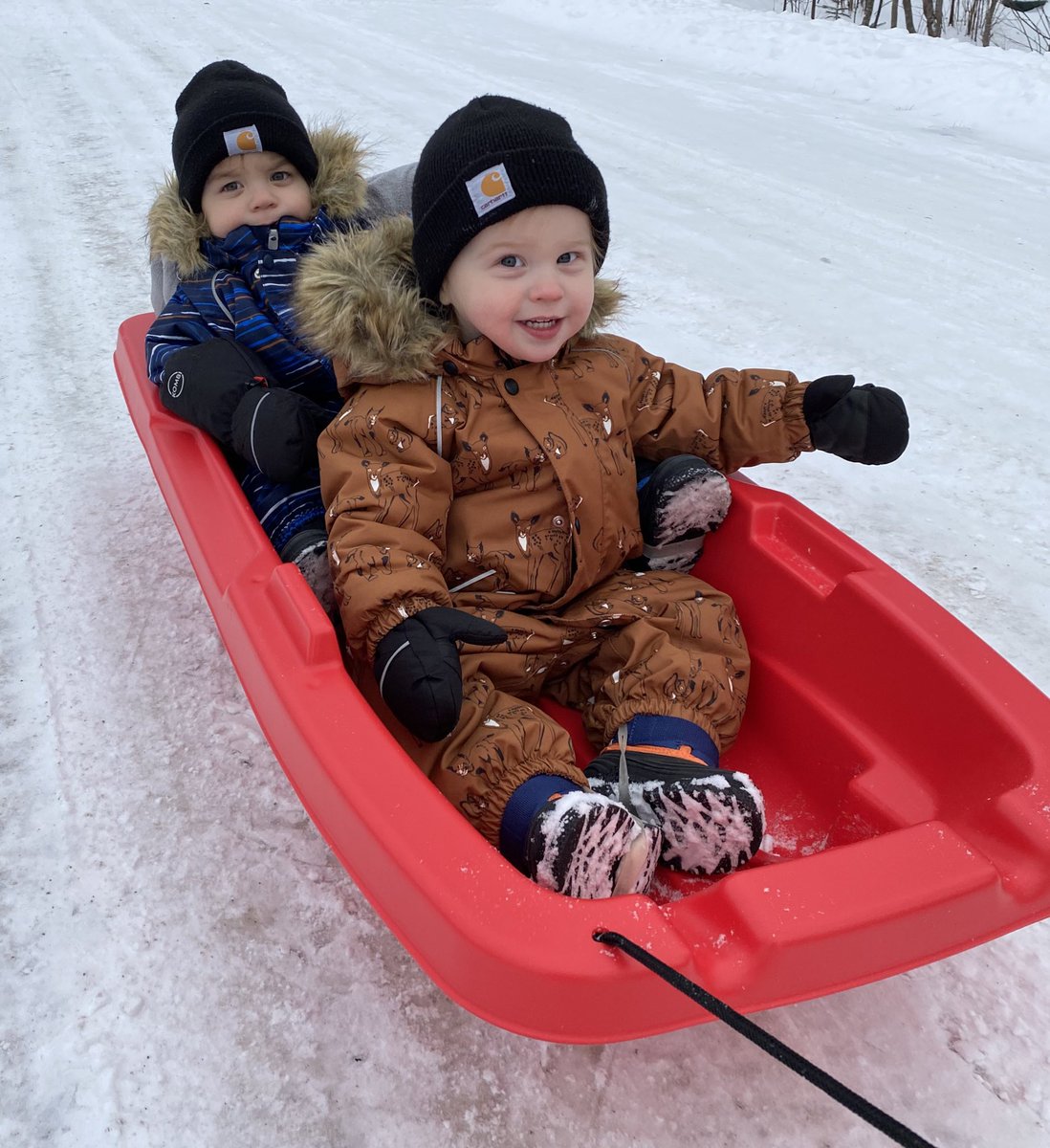SarahPotts53's tweet photo. It’s Sandra Schmirler day at the Scotties! My twins spent over a month in the NICU when they were born premature. We are so thankful for the life saving equipment they had access to &amp; the care they received.

If you are able, please join me in donating by calling 1-866-210-6011. https://t.co/LLay7Pad2R