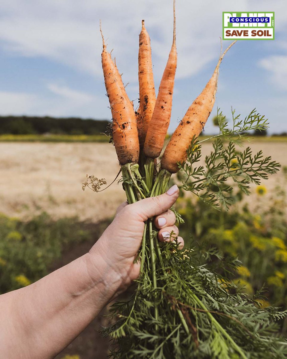 cpsavesoil's tweet photo. Food is life. Life is soil.
#SaveSoil #ConsciousPlanet
https://t.co/hXgdkyNtJ5 https://t.co/X3bTIdRbx3