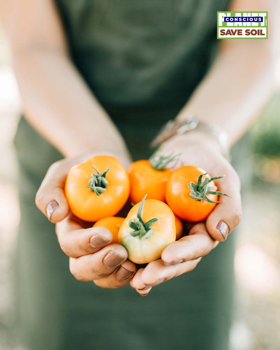 cpsavesoil's tweet photo. Food is life. Life is soil.
#SaveSoil #ConsciousPlanet
https://t.co/hXgdkyNtJ5 https://t.co/X3bTIdRbx3