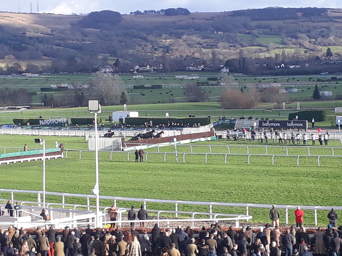 MarkyWellsteed's tweet photo. @WestBerksRC at @CheltenhamRaces Jumping the first in the Cotswold Chase won by Chantry House. https://t.co/GsB36RnYT5