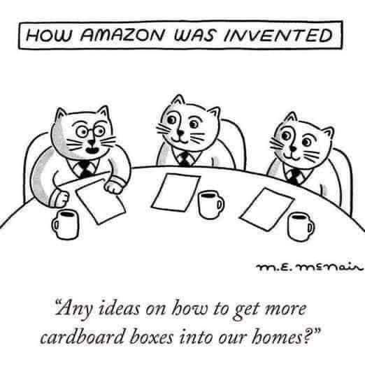 LordGraydon's tweet photo. Chuckle for #catboxsunday #CatsOfTwitter https://t.co/Bi38dpIfSM