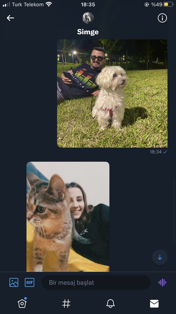 Kedi kopek savasi basladi. Tarafini sec 🐈 vs 🦮