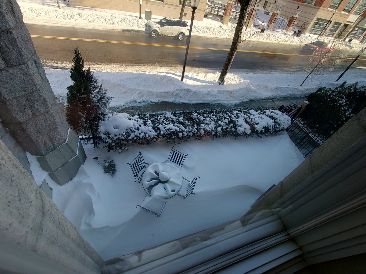 Some serious drifts today, making Flounce very confused &amp; sad.  Beautiful, though!