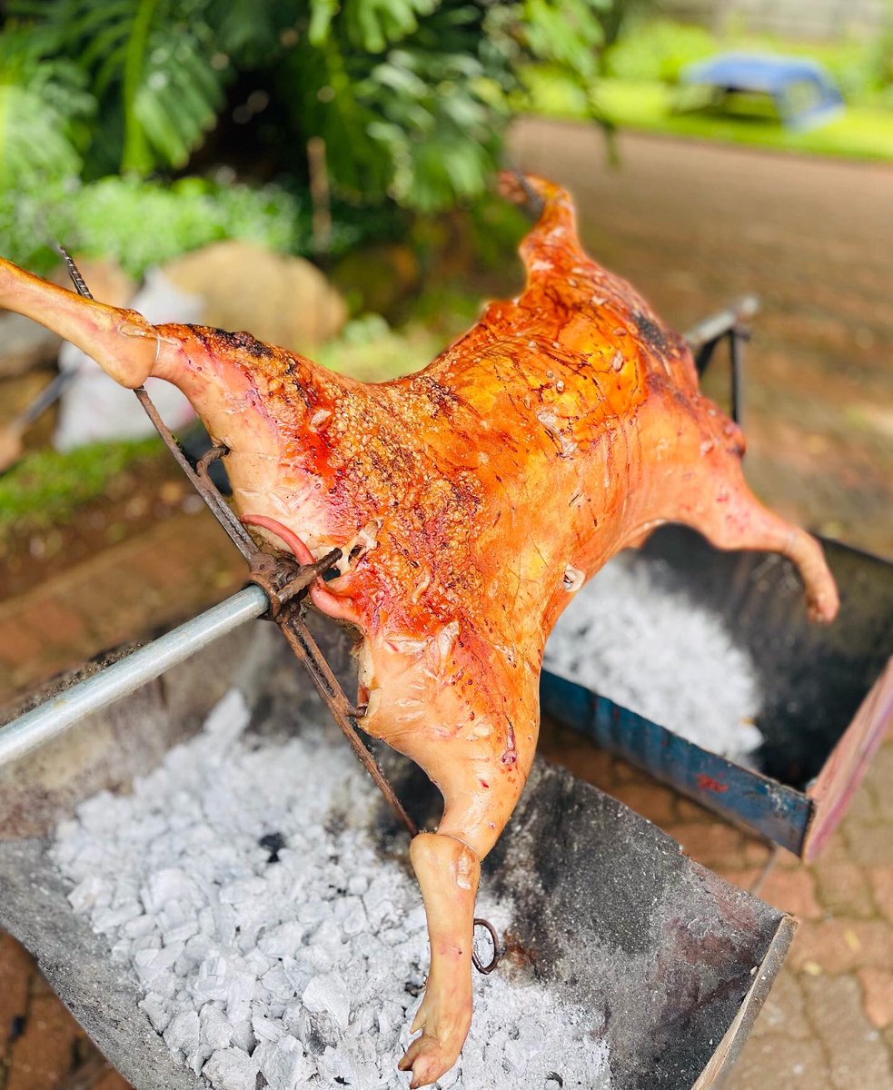 UeBbq's tweet photo. Your Pig On Spit Plug 😊🐖🍴 https://t.co/ceFPUFZBG8