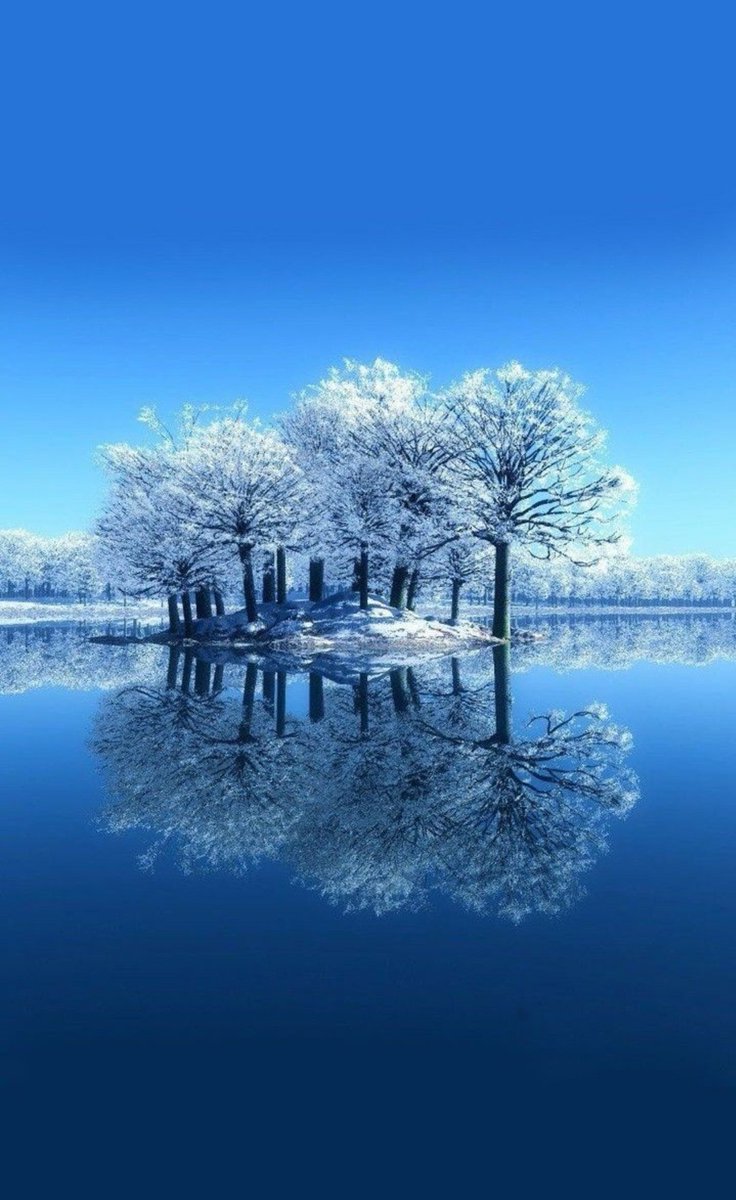 Miep51082958's tweet image. #WinterReflections