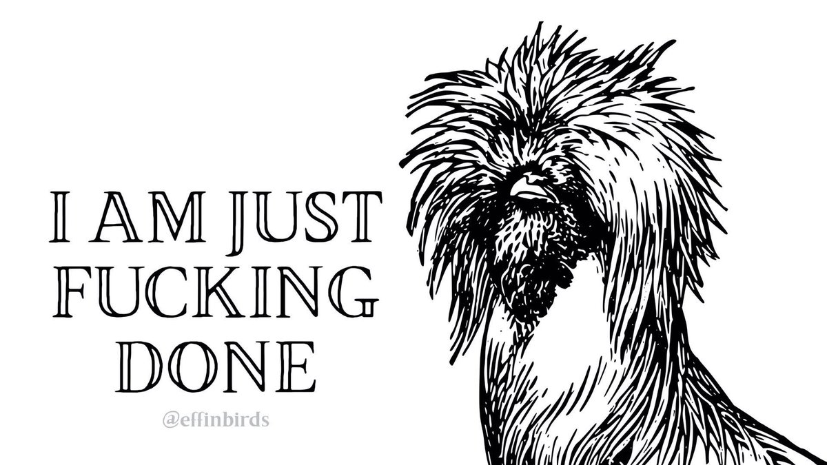 Effin' Birds tweet media