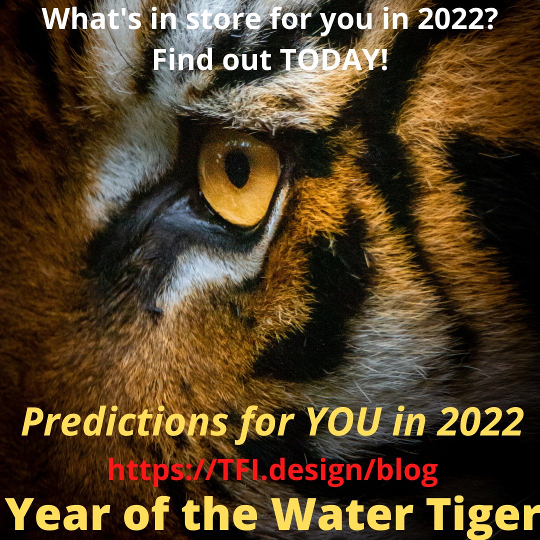 SLNordlund's tweet photo. Learn what the Year of the Tiger will bring you at https://t.co/HXR36ynhKW today! Photo by Ralph Mayhew of Unsplash. #chinesenewyear2022 #chinesenewyear #fengshui2022 https://t.co/JfvybG6sDs