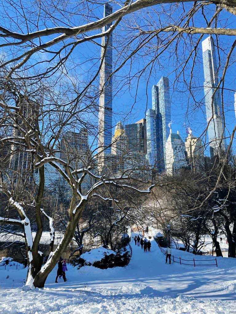 MauMassari's tweet photo. Happy ‘Sun(snow)day’ to everyone ❄️ ☀️👋 #Manhattan #NYC #CentralPark #snowfall https://t.co/Mj16n5mDhK