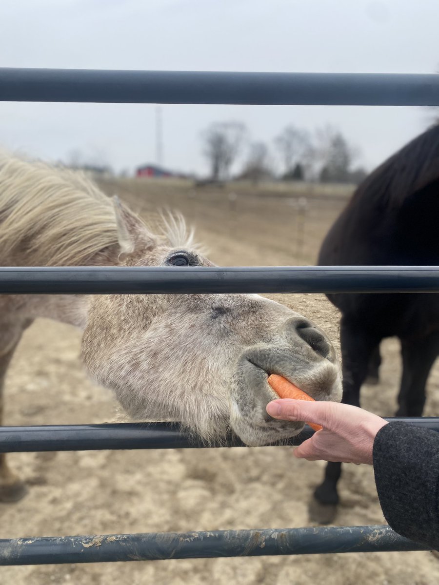 alliedeno's tweet photo. @marcuslemonis I would #invest in starting my dream therapy clinic in an area where there is no access to therapy services. I would love to have a clinic that uses Hippotherapy as a tool and animal-assisted therapy. #MarcusLemonis #hippotherapy https://t.co/Fp6v2HxG3n