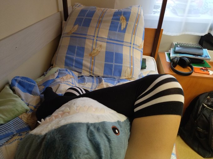 1 pic. Just me wrestling my shark... And holding him tight! Do you wanna see more? Or... do you want