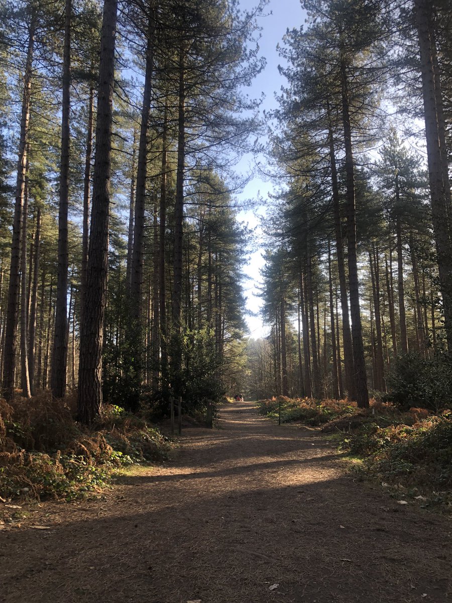 hip2trek_emma's tweet photo. More trees and calm after the storm, meaning I got my vitamin N fix. I may have hugged some 🌲 #vitaminN #outdoors #outdoorblogger https://t.co/AMeIblXd2d