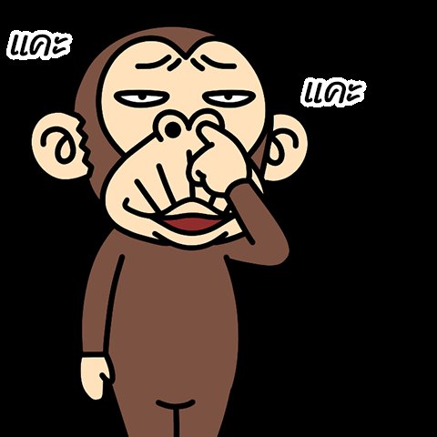 ChowKhn's tweet photo. เป็นผู้หญิงคะ  DM  มาคุยกันได้นะคะ https://t.co/Z1tPbhGXpM