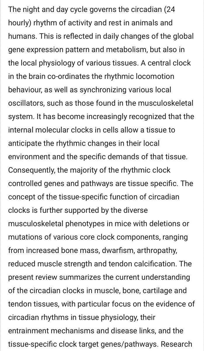 Running on time: the role of circadian clocks in the musculoskeletal system  https://portlandpress.com/biochemj/article/463/1/1/47935/Running-on-time-the-role-of-circadian-clocks-in