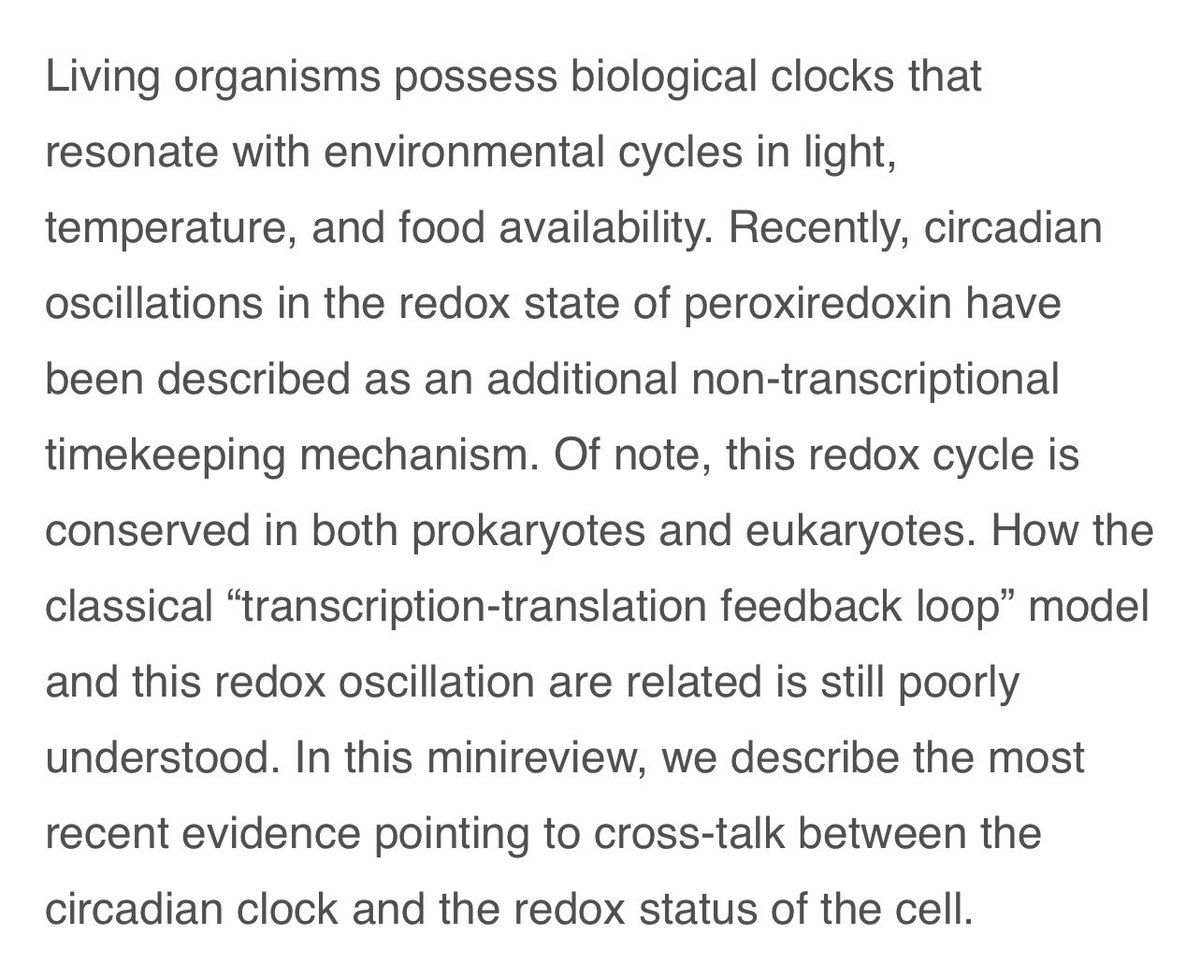 Regulation of Circadian Clocks by Redox Homeostasis  https://www.jbc.org/article/S0021-9258(20)49056-8/fulltext