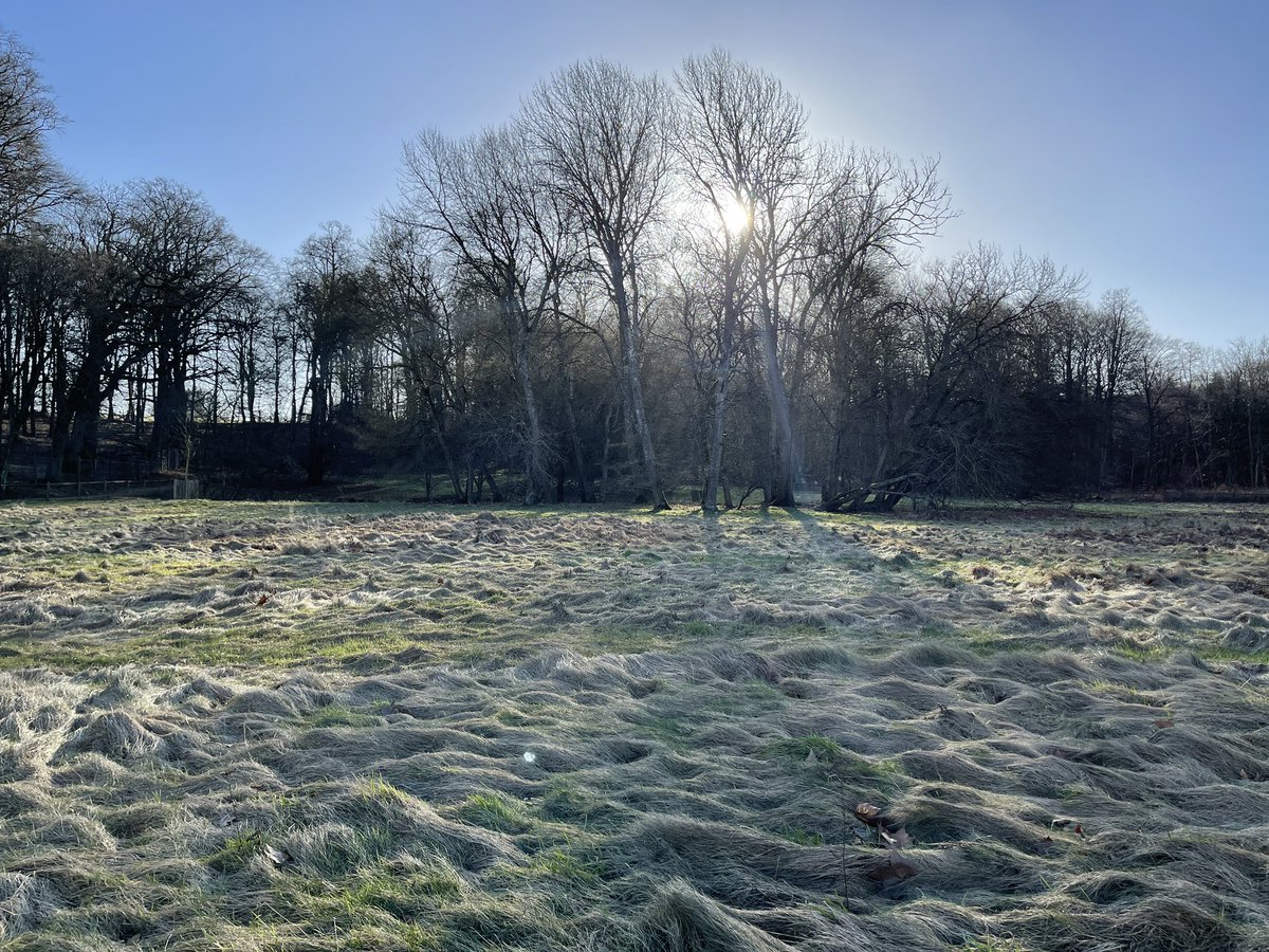 gsurya's tweet photo. A fantastic #sunny #winter day out at #Torup #castle with crisp #bluesky above #landscape #landscapephotography #landscapes #sweden #sverige #nature #shotoniphone #torupsslott #swedennature #swedenisfantastic #sverigeärfantastiskt #NaturePhotography https://t.co/2N9EVauWo5