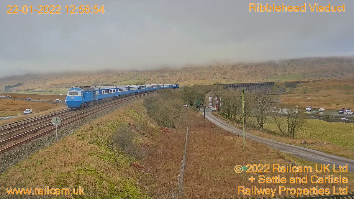 Wayne Potter tweet media