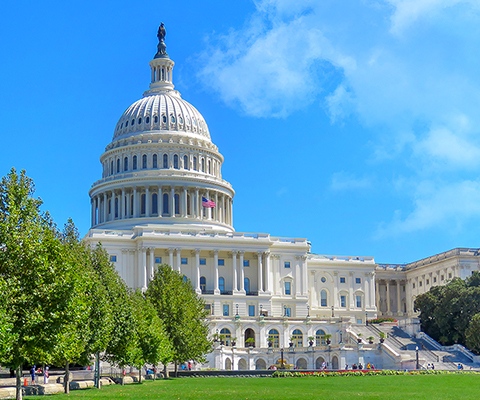 SRCreizen's tweet image. In 2020 was het precies 400 jaar geleden dat in Amerika geschiedenis werd geschreven: de #Mayflower landde in Cape Cod. Op deze unieke #themareis naar Boston, Plymouth, Philadelphia en Washington DC duikt u in de onstaansgeschiedenis van #Amerika!

➡ src-reizen.nl/reis/bakermat-…