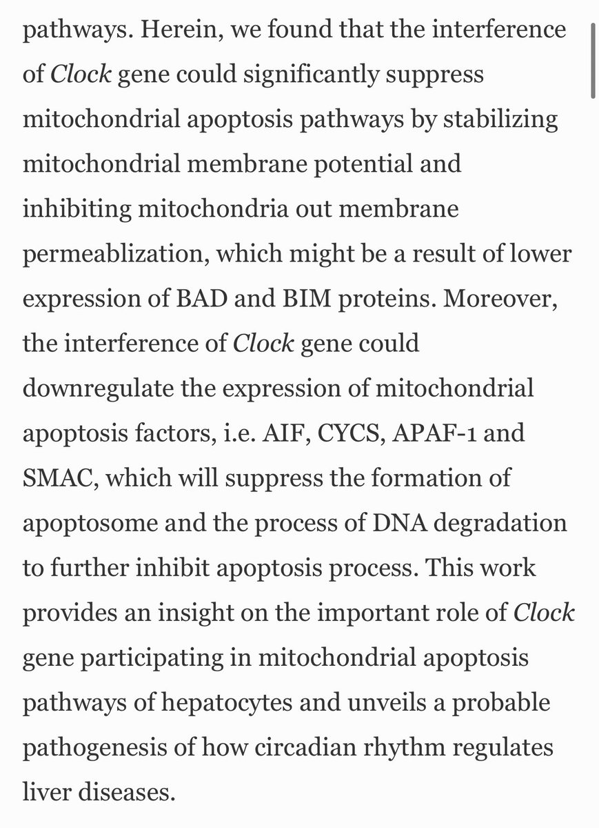 Circadian gene Clock participates in mitochondrial apoptosis pathways by regulating mitochondrial membrane potential, mitochondria out membrane permeablization and apoptosis factors in AML12 hepatocytes  https://link.springer.com/article/10.1007/s11010-020-03701-1Having a natural circadian rhythm protects liver.
