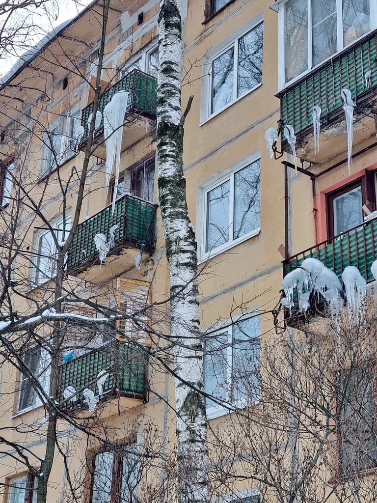 maosha's tweet photo. Don't look up... https://t.co/sQUyYY6FCE