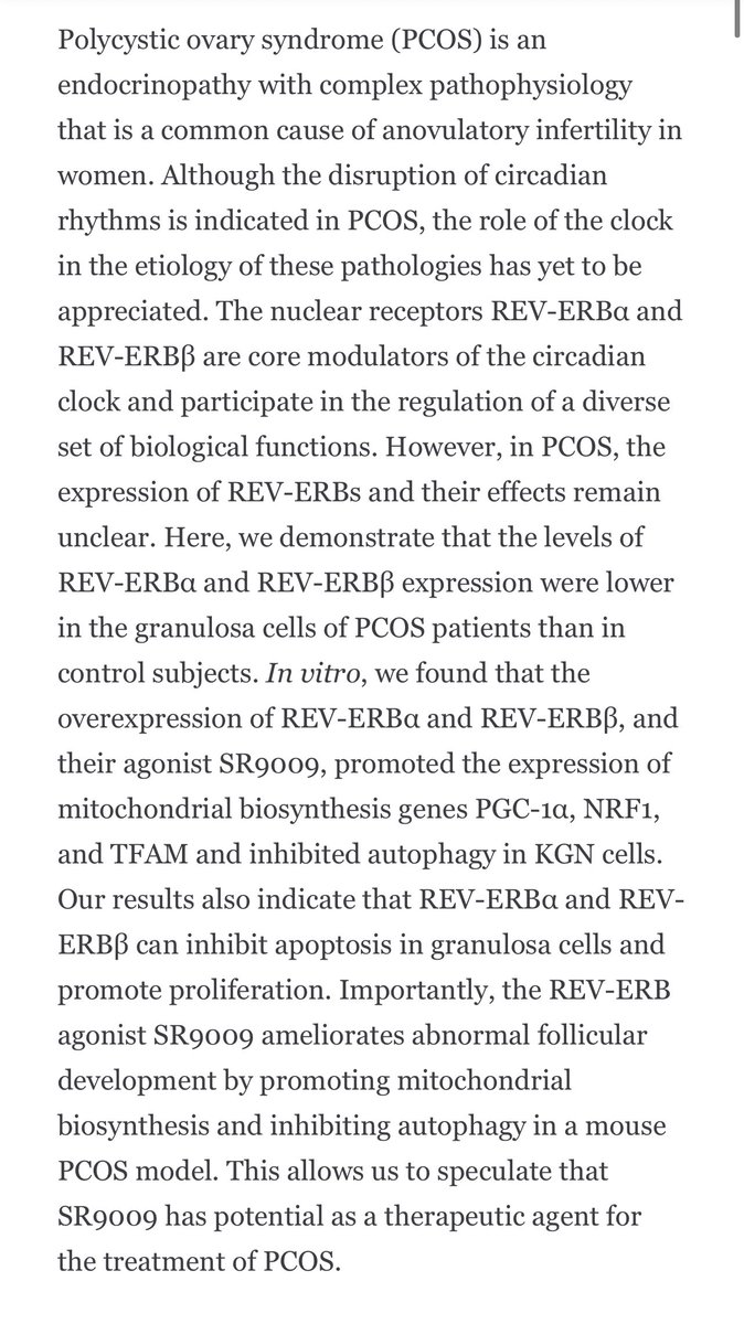 Circadian Clock Genes REV-ERBs Inhibits Granulosa Cells Apoptosis by Regulating Mitochondrial Biogenesis and Autophagy in Polycystic Ovary Syndrome  https://www.frontiersin.org/articles/10.3389/fcell.2021.658112/fullCell line study in a PCOS model, though again supporting autophagy/apoptosis being regulated by CB.