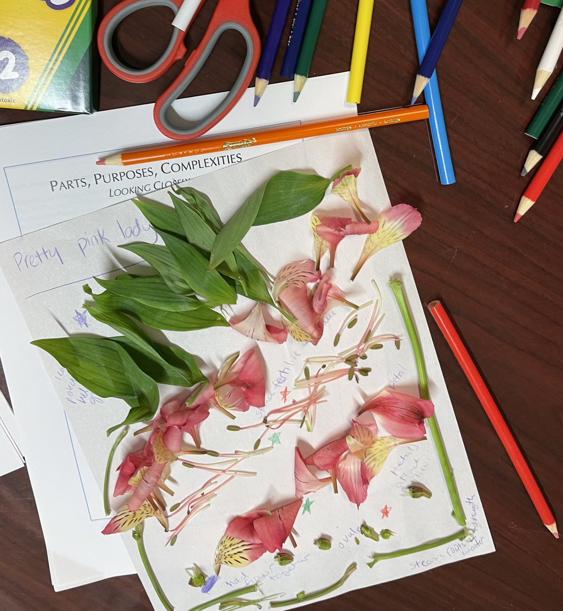 qikenwing's tweet image. A #takeapart introduction to @AgencybyDesign routines with the SR #makercenteredlearning learning group — an entry point to @ProjectZeroHGSE @DCProjectZero @WISSIT_DC ideas that I never get enough of 😉