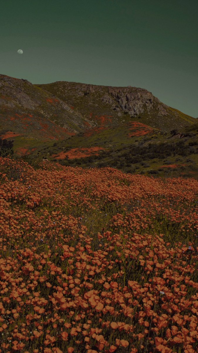 💫 #nftphotography #photography #NFTsCommunity