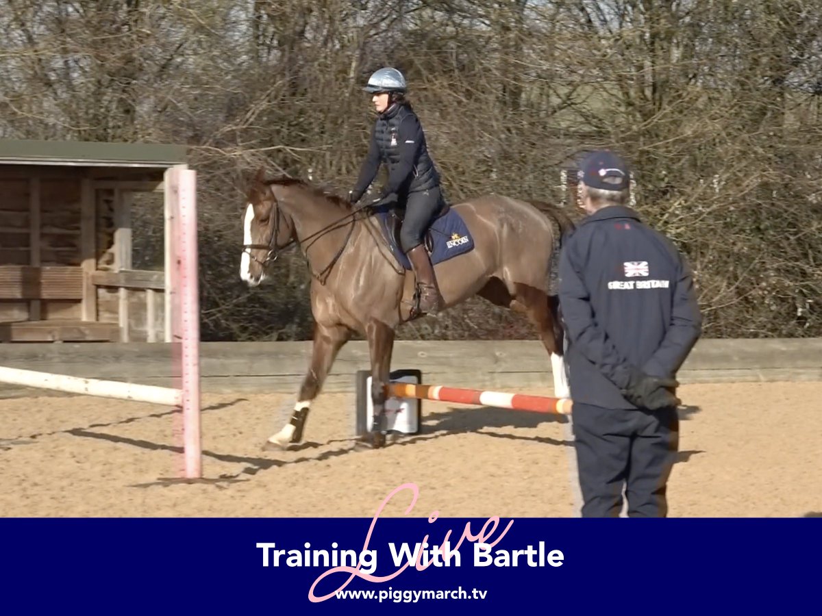 Lucky to have a visit from Chris Bartle this week - great to have a fresh pair of eyes on the horses, some new cavaletti exercises and someone to shout at me about my bad winter habits!😬🙈🤣

Video now live:🖥👀🐷⤵️

🌟➡️piggymarch.tv⬅️🌟

#TrainWithPiggy