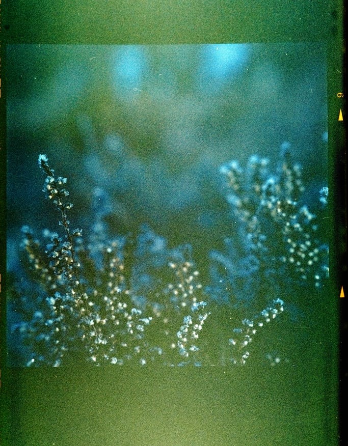 asucaiper's tweet image. Sunday #ScrollStop ~
#HumilityParadigm #ITEAMByDesign #ITEAMBD #ITBD #the10onTheTeam #TeamCareConnections #DirectorsWeeklyRead