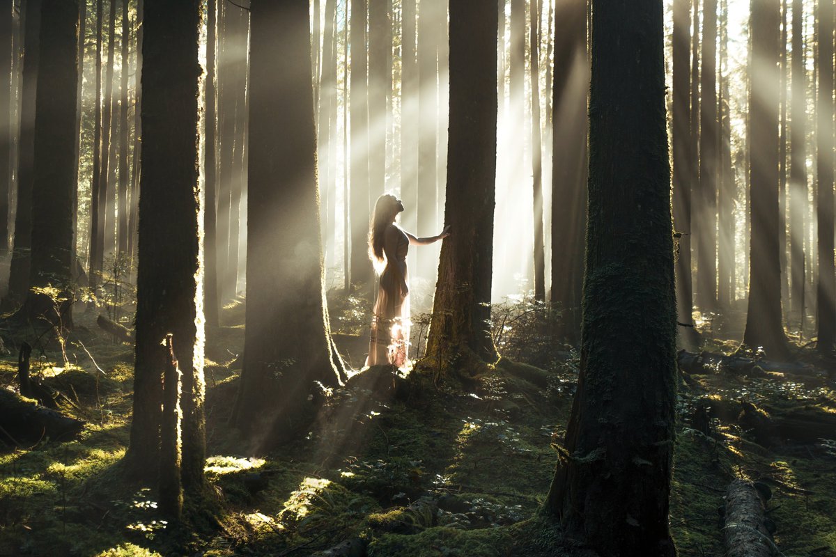 ...is it bad that I talk to trees more than I do with actual humans? 😶