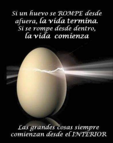 rodolfoexodo's tweet photo. https://t.co/bK5gZq5c9H