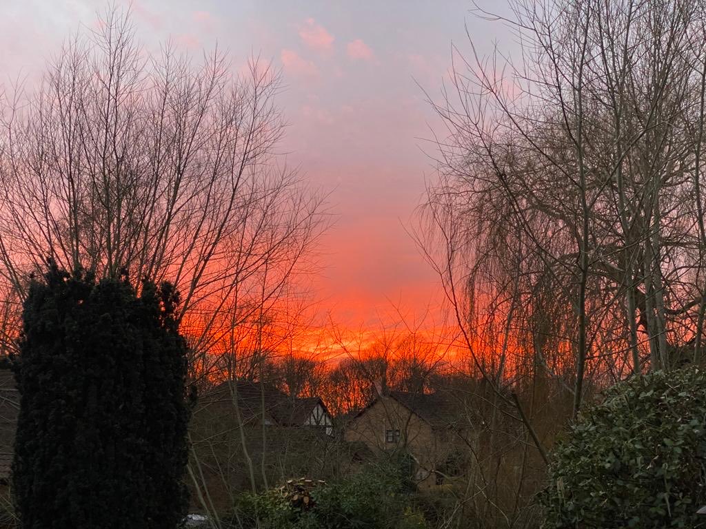 Stuart Whitney tweet media