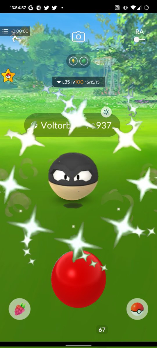 I caught shiny Voltorb today at nyc go fest ✨🥳#fypシ゚viral #twitchget