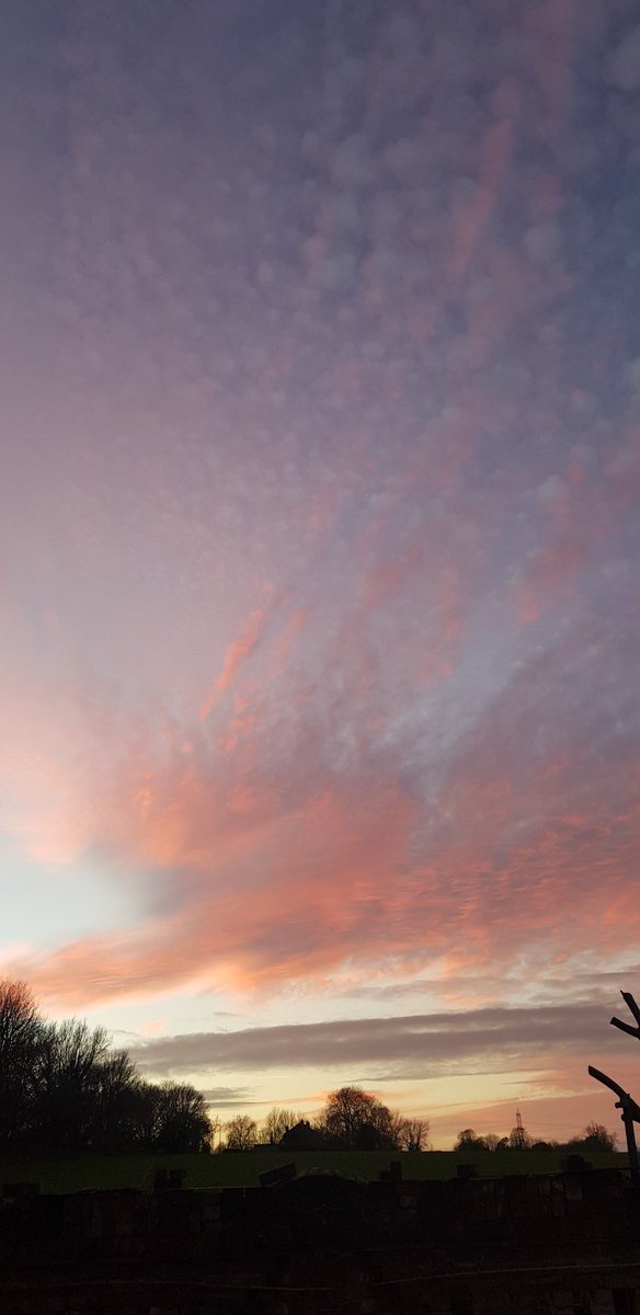 Haven't posted in a while, here's the first tweet of 2022. The sky above the #ModelmakersGarden. Have a good evening everyone.