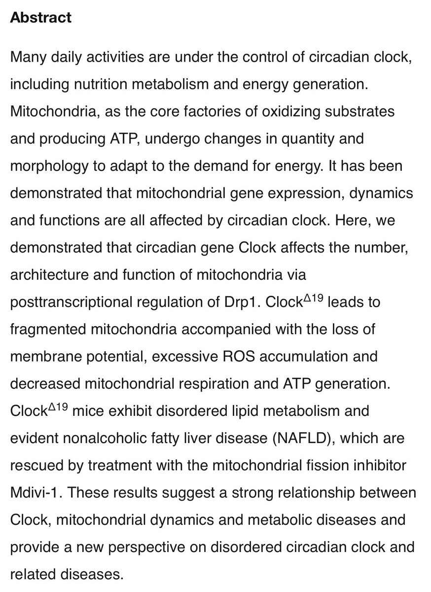 Circadian gene Clock regulates mitochondrial morphology and functions by posttranscriptional way  https://www.biorxiv.org/content/10.1101/365452v1.full