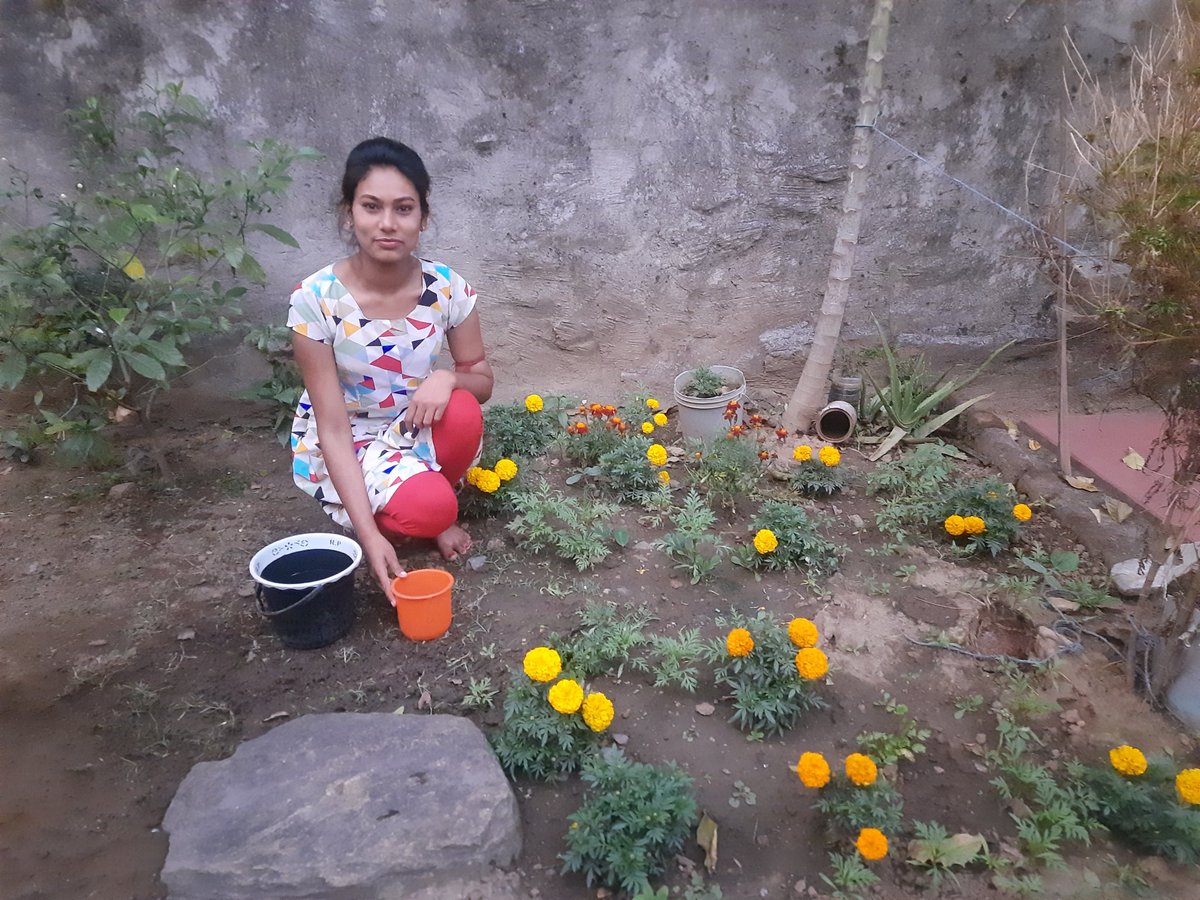 Samapti_'s tweet photo. Name- Samapti Paramanik
Roll - 34301321019
Session- 2021-22
College- Hemnalini Memorial College of Engineering
Activity name - Tree plantation
#MAR_ACTIVITY
#MAKAUT https://t.co/fBEZOtOLil