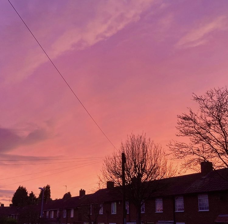 wurdsmyth's tweet photo. Making a note of good things for 2022:

30th Jan - The most stunning sunset painting everything pink and gold. Hopeful, beautiful, glorious. I needed that today. If you do too, please consider this my gift. 💕

#GoodThings2022 https://t.co/uzOrA4CTDz