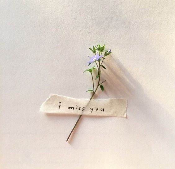 myeonace's tweet photo. A #HAESOO #SNOWDROP au wherein...

Jisoo stumbles upon letters for her grandmother and Haein wakes with longing after dreaming of a girl he's never met.

Jisoo wants to find the man behind the letters, Haein wants to find the girl in his dream. One fated encounter. https://t.co/BDuXScRaYd