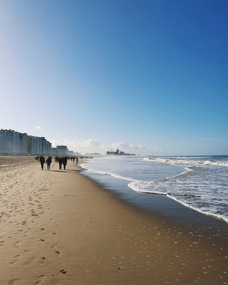 Ellen Van Wulpen tweet media