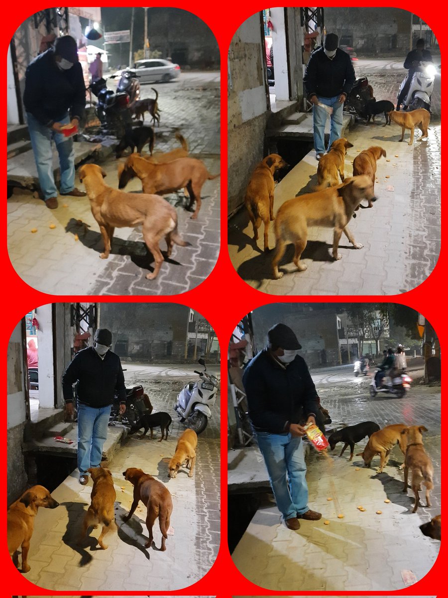 drjeetenderpau's tweet photo. Hello Friends ,
There are some people who have some special concern for Birds,Animals,Trees and Nature.
Today i am sharing the pics of one of the #RealPersonality,a Pious Soul (@DrAnilKataria Ji from Faridkot) who #DailyGivesFood to #StrayDogs & #FeelsHappy.
He Helps Everyone. https://t.co/FiY5pBIlke