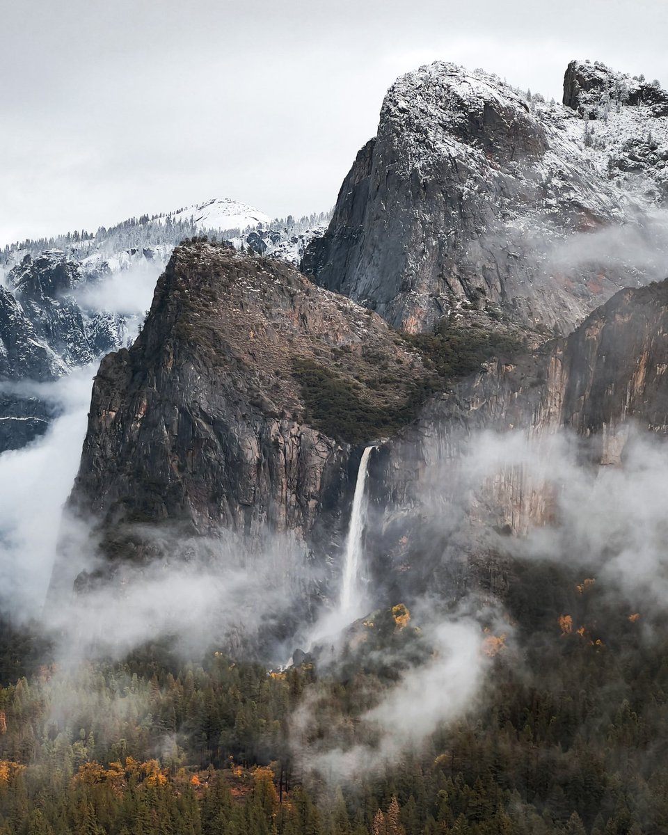 Tiffany Nguyen tweet media